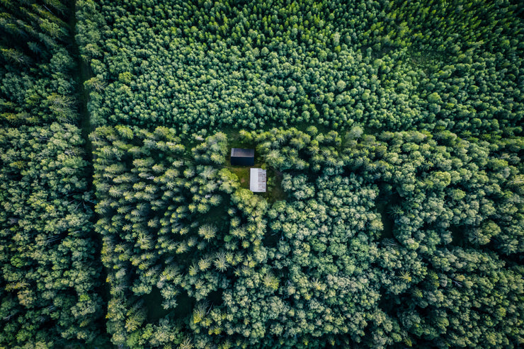 Little House In The Woods